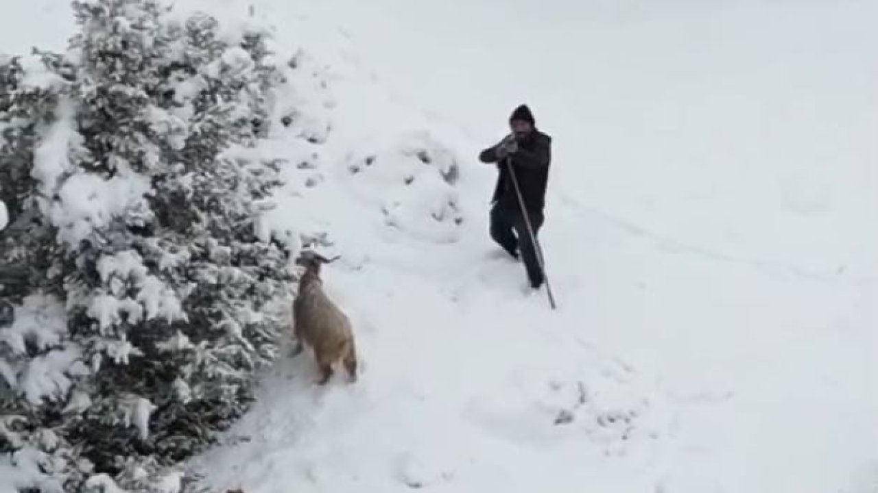 Nallıhan’da çoban drona tüfek çekti