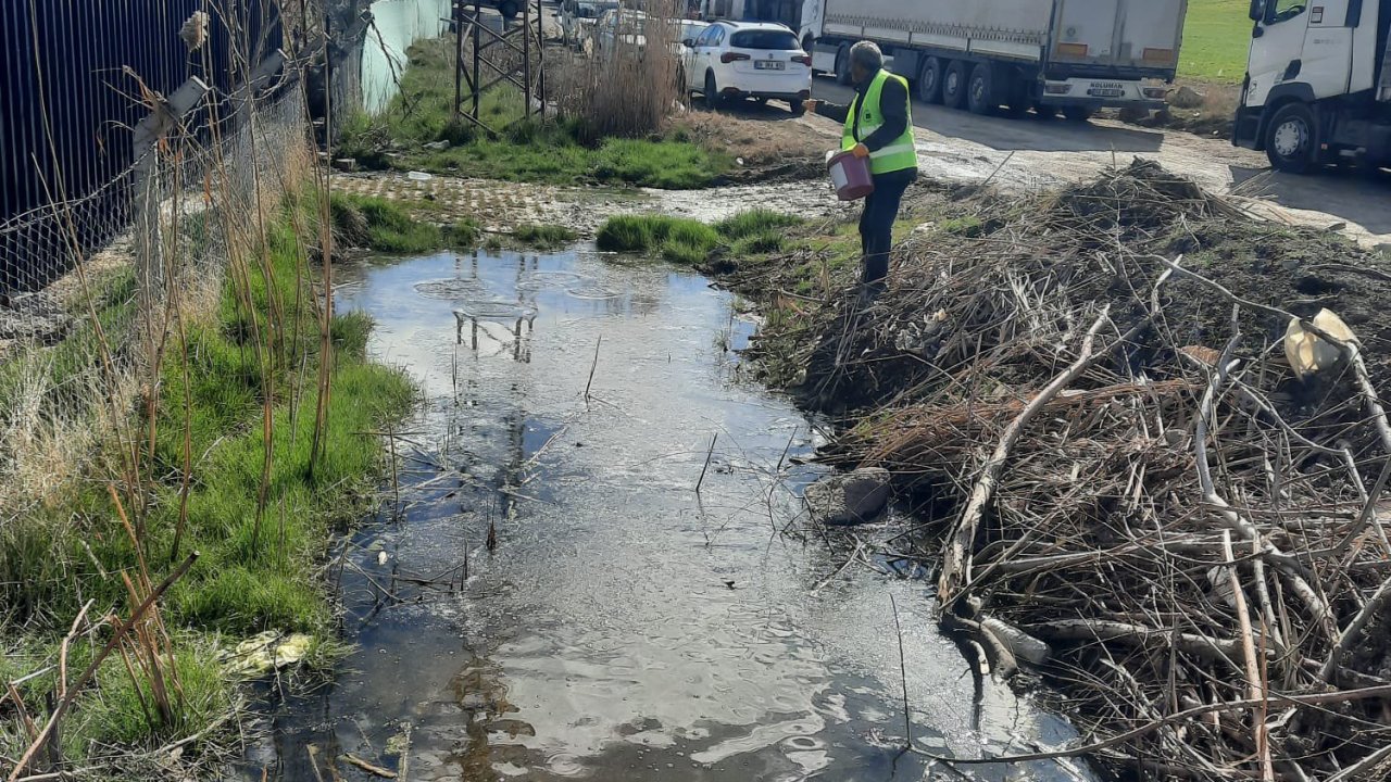 Yenimahalle’de bataklıklar kurutuluyor: 10 günde bir ilaçlanıyor