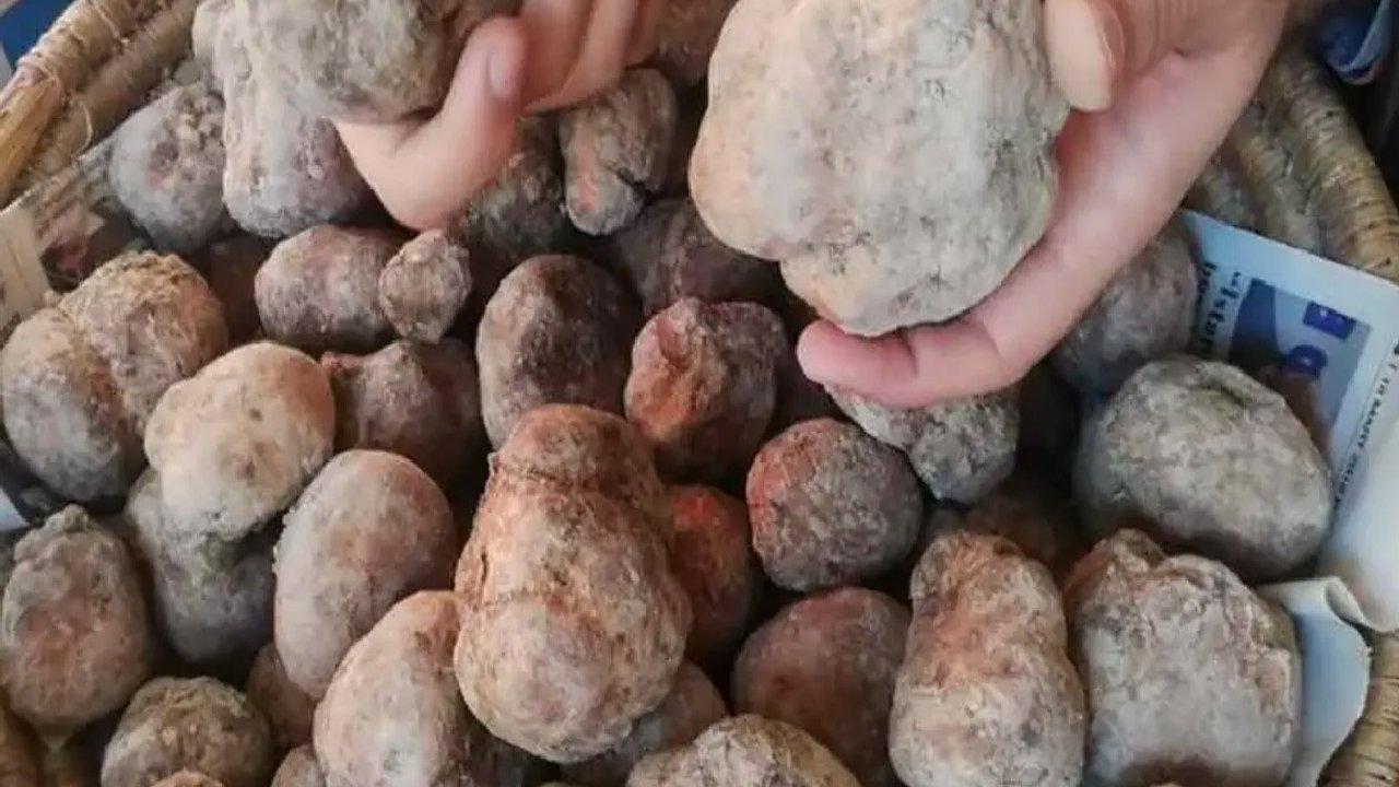 Dolaman zamanı geldi