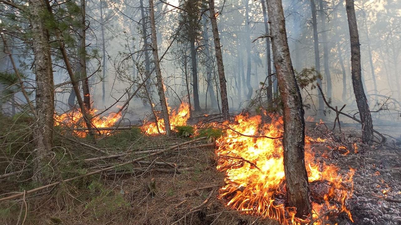 Bolu’daki orman yangınına Ankara Büyükşehir’den müdahale