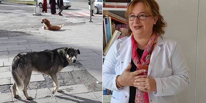 Hükümet “köpeklere” karşı Prof. Nilüfer Sabuncuoğlu’ndan görüş istedi