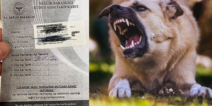 Turizm merkezi de köpek tehdidi altında: Motorcuyu ısırdılar