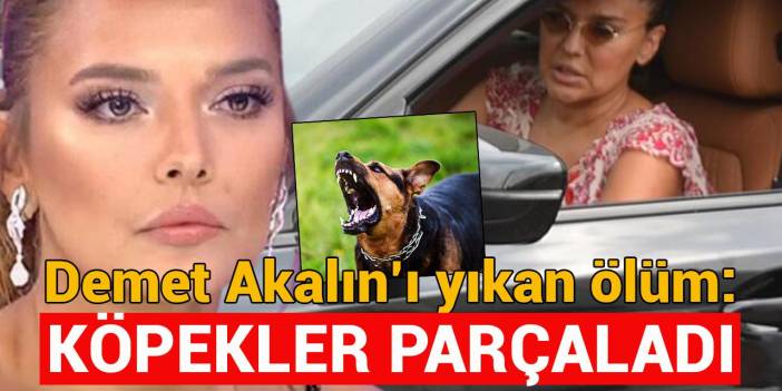 Demet Akalın’ın kuzeni köpek saldırısında hayatını kaybetti