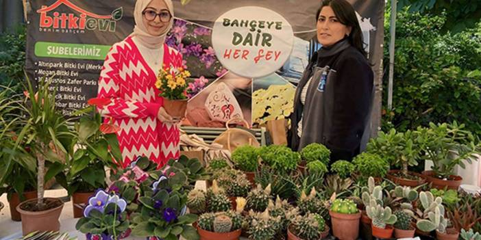 Çiçek bakımının püf noktaları: Uzmanı anlatıyor