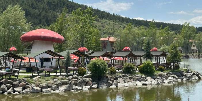 Çamlıdere’nin mantar adası belediyeye geçti: Bayramda hizmete başlıyor