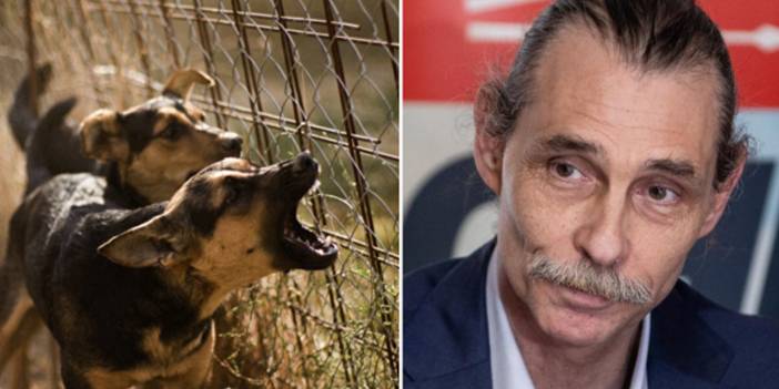 Etimesgut'taki pitbull dehşeti sonrası Erdal Beşikçioğlu sessizliğini koruyor