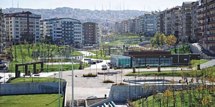 Ankara Öveçler Vadisi’ndeki başıboş köpekler Mansur Yavaş'a şikayet edildi
