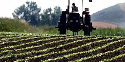 Tohum sektörünün ihracat rakamları 338 milyon dolara ulaştı