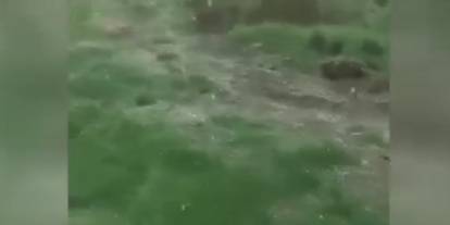 Sincan Temelli’de dolu yağışı tarım arazilerinde hasar oluşturdu