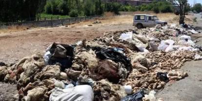 Gölbaşı Belediyesi uyardı: Kurban atıklarını sokakta bırakmayın