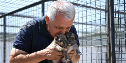 Mamak’ta yangından kurtarılan yavru köpekler bakıma alındı