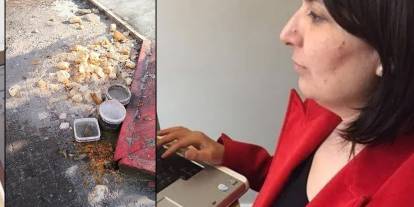 Prof. Bulut: Hayvan edinmek ehliyete ve vergiye bağlansın