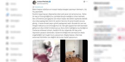 Yardım toplayan hayvanseverler birbirine girdi