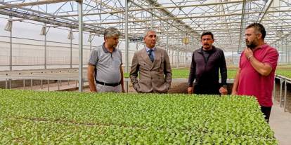 Beypazarı Kaymakamı tarımcıları ziyaret etti: Saha ziyaretleri devam