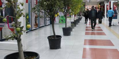 Ankara’nın zengin tarım mirası sergide tanıtıldı: Yoğun ilgi gördü