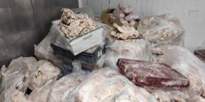 Yenimahalle'de yüzlerce kilo bozuk et ele geçirildi
