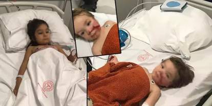 Ankara’da iki kardeşe saldıran 'pitbull'un sahibi 12 kez şikayet edilmiş