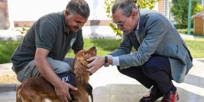 Saldırgan 'pitbull'u Erdal Beşikçioğlu'na teslim etmek doğru mu?
