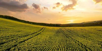 Ankara'da 5 kritik eğitim yapılacak: Gündem iklim değişikliği
