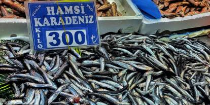 Ankara Ulus Hali'nde hamsi diye sardalya satılıyor: Mansur Yavaş'a şikayet edildi
