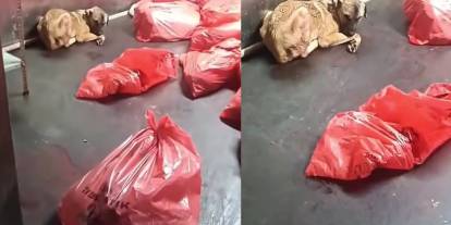 Ankara Büyükşehir açıkladı: O görüntüler Karataş’a ait değilmiş