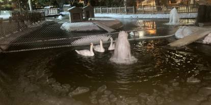 Ankara’nın simge parklarından Kuğulu dondu