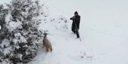 Nallıhan’da çoban drona tüfek çekti