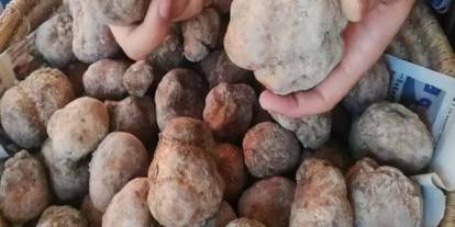 Dolaman zamanı geldi