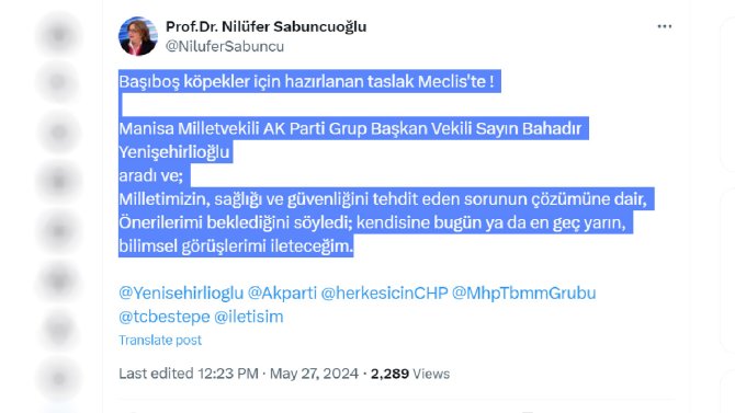 nilufer-sabuncuoglu.jpg