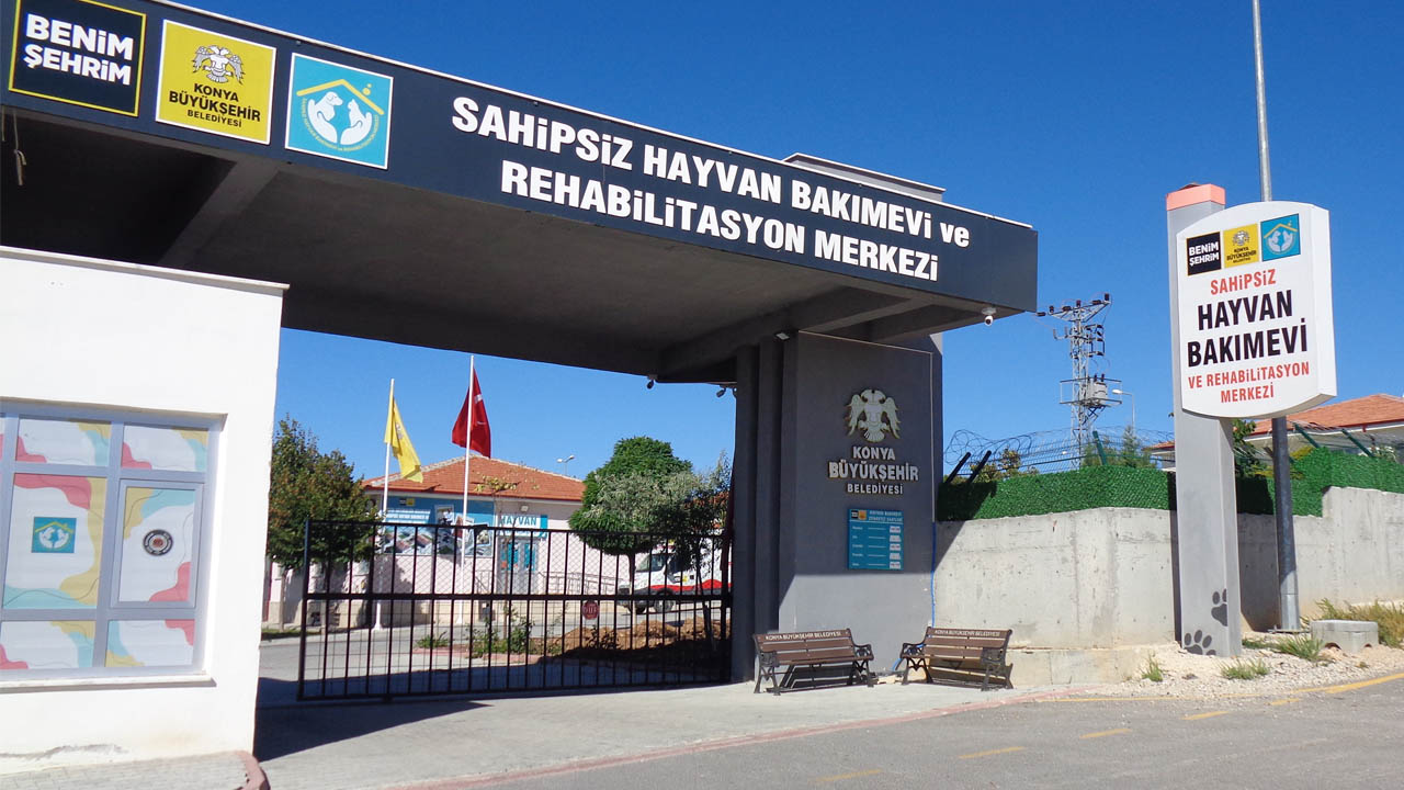 konya-hayvan-bakimevi.jpg