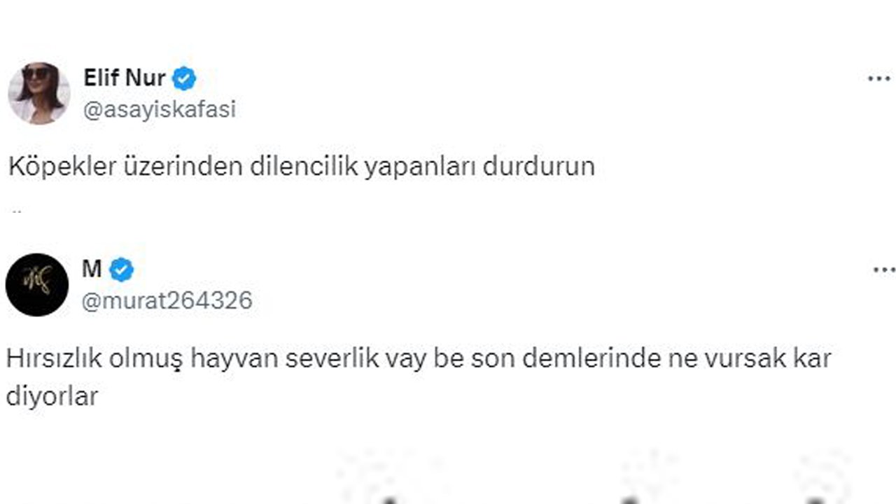 1-002.jpg