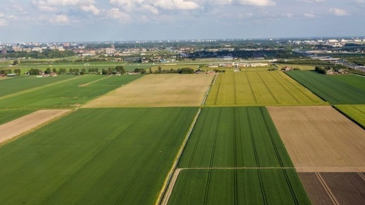 arsa.jpg