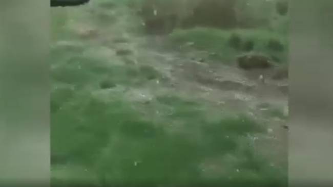 dolu-yagisi.jpg