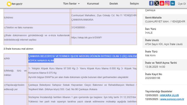 kopek-mamasi-alimi.jpg